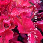 秋の花、「絵手紙の色の豊かに夜の秋：岡村行雄」